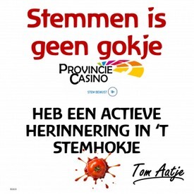 08 Stemmen is geen gokje.jpg